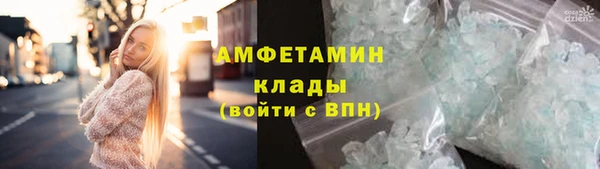 молекула духа Алексеевка