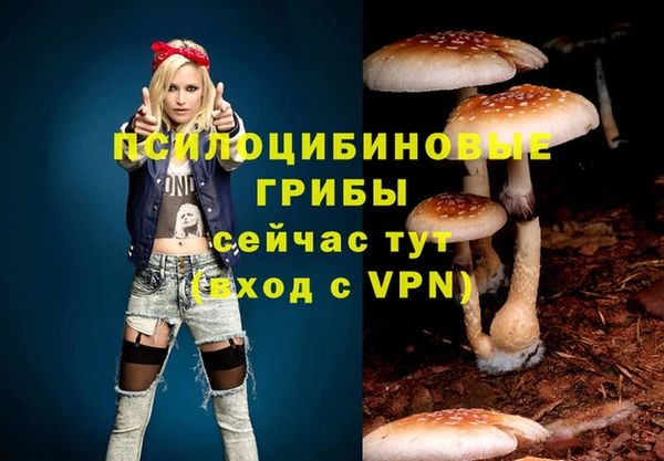 молекула духа Алексеевка
