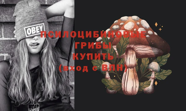 молекула духа Алексеевка
