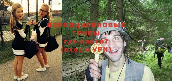 mix Алексин