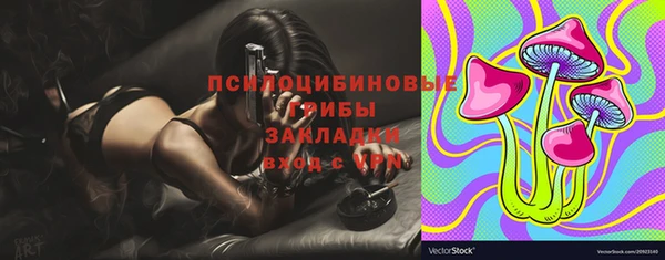 mix Алексин