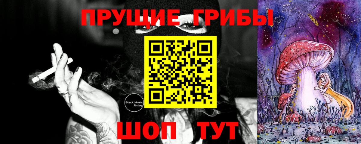 Галлюциногенные грибы Psilocybe Алушта