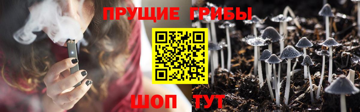 Алушта  Галлюциногенные грибы ЛСД  продажа наркотиков  Вход с VPN 